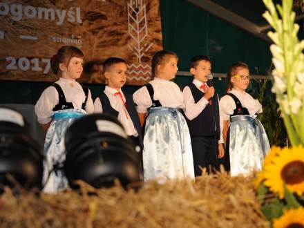 Dożynki Gminne w Drogomyślu 2017